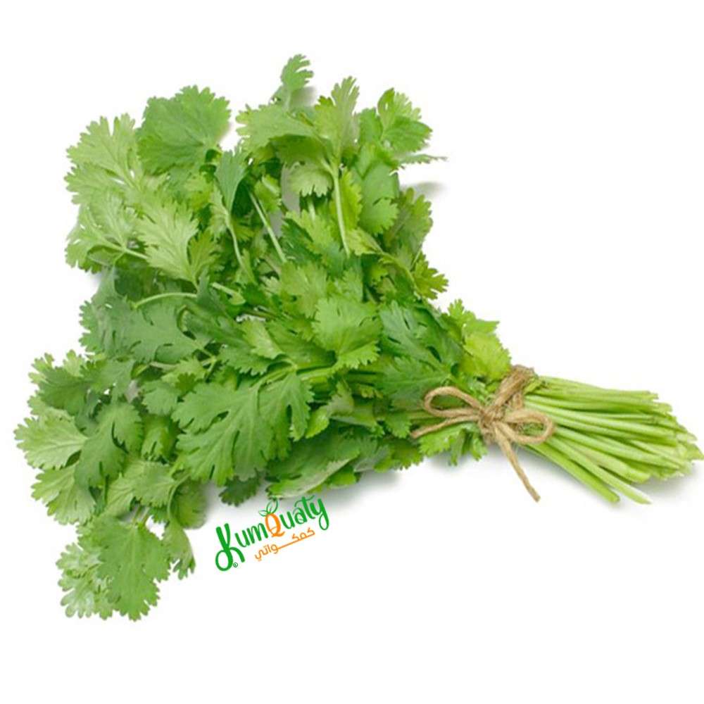 INmAtSZ8A3YmT1Ik99Dt84hQ9b14fZtUvIKHj4cV