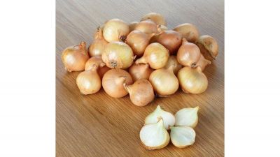 eatfresh_onion_grill_kg