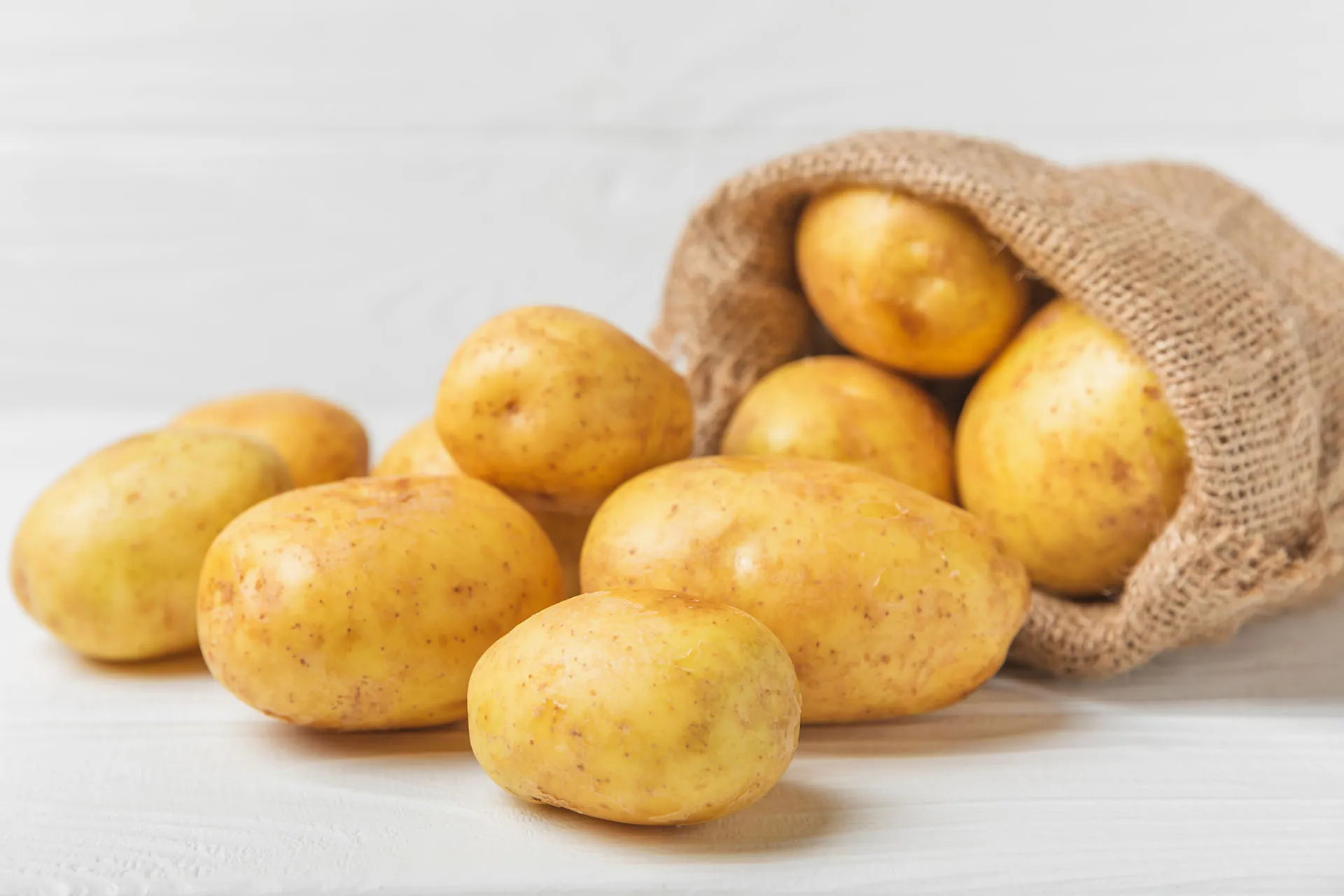 shutt17-1-1735130650