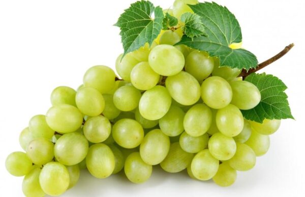 عنب اخضر علبة 500غ